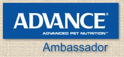 Advance Ambassador