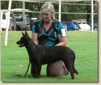 Aust Ch Oatland Tigerlilly